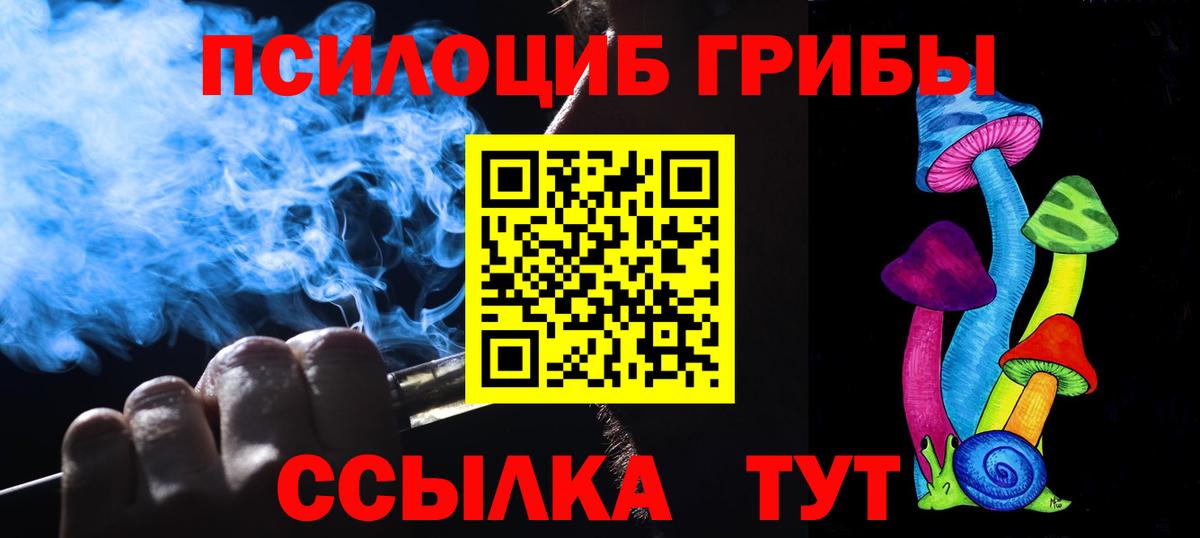 Галлюциногенные грибы GOLDEN TEACHER  Вход с VPN  Кириши  магазин продажи наркотиков  Псилоцибиновые грибы мицелий 